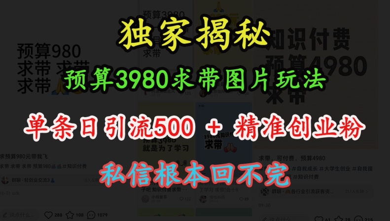 预算3980求带 图片玩法，单条日引流500+精准创业粉，私信根本回不完-创薯资源