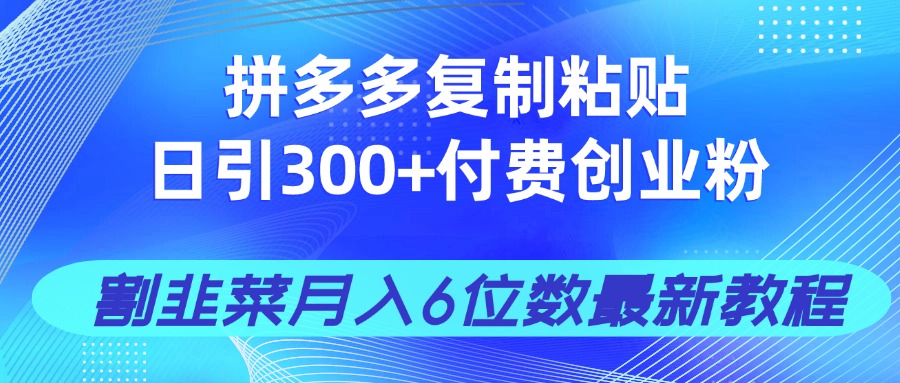 拼多多复制粘贴日引300+付费创业粉，割韭菜月入6位数最新教程！-创薯资源