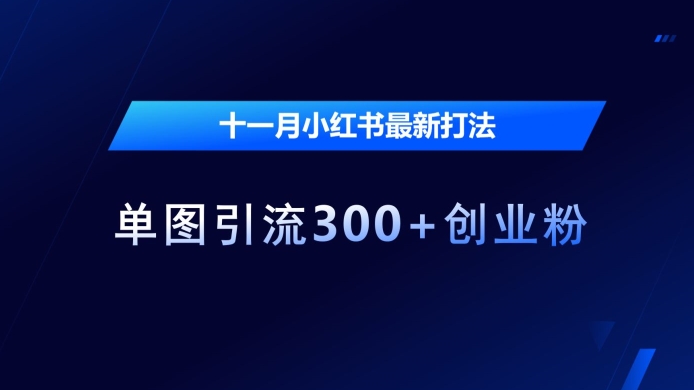 十一月小红书最新打法，单图引流300+创业粉【揭秘】-创薯资源