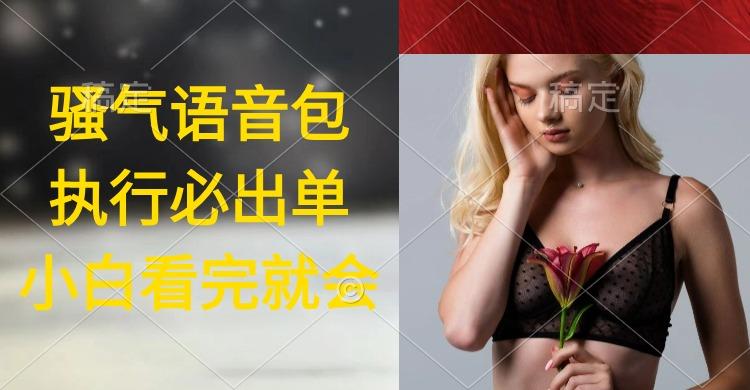 (9589期)执行就出单，日入2000+，超火骚气语音包，小白看完课程就能马上实操-创薯资源