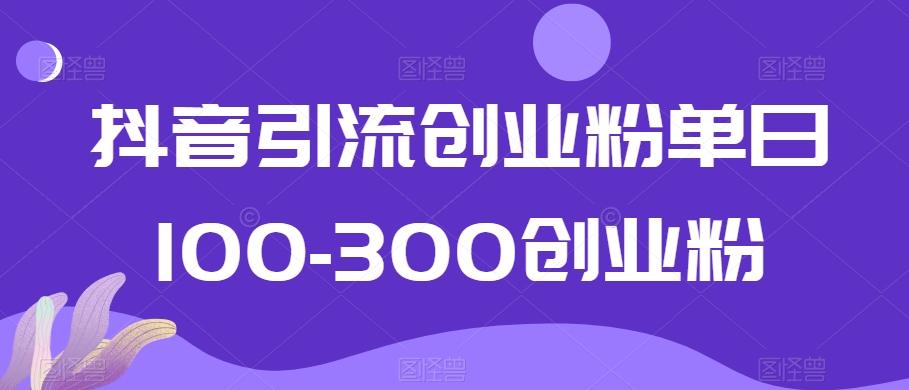 抖音引流创业粉单日100-300创业粉【揭秘】-创薯资源