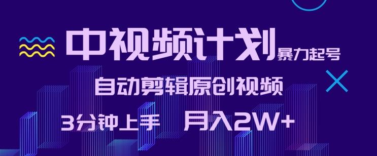 中视频计划暴力起号，自动剪辑原创视频，3分钟上手，月入2W+【揭秘】-创薯资源