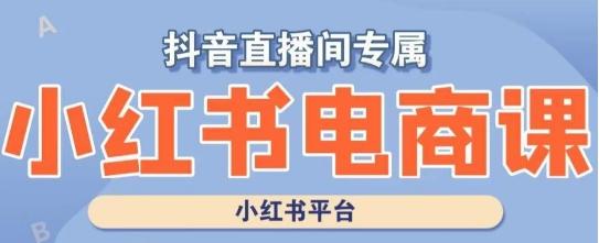 小红书电商高级运营课程，实操教学+案例分析-创薯资源