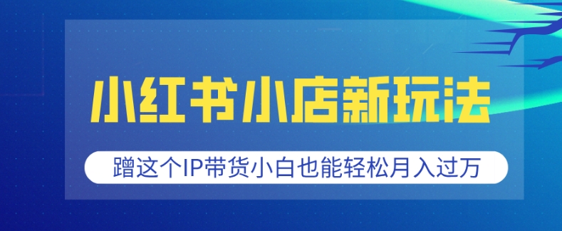 小红书小店新玩法，蹭这个IP带货，小白也能轻松月入过W【揭秘】-创薯资源