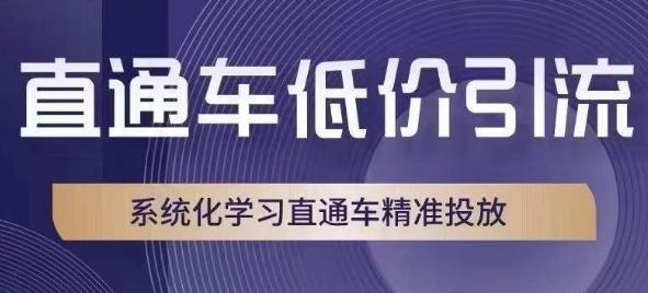 直通车低价引流课，系统化学习直通车精准投放-创薯资源