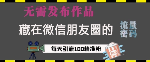 藏在微信朋友圈的流量密码，无需发布作品，单日引流100+精准创业粉【揭秘】-创薯资源