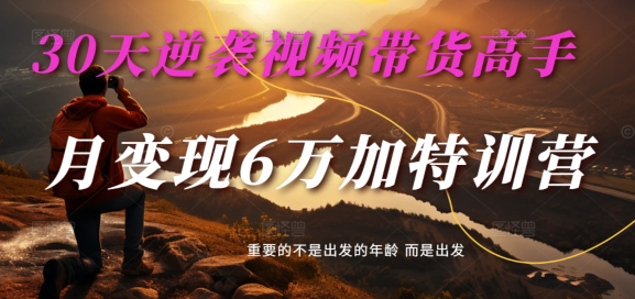 30天逆袭视频带货高手，单月变现6万加特训营-麦子甜-创薯资源