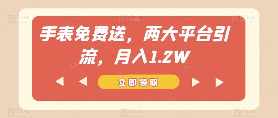 手表免费送，两大平台引流，月入1.2W【揭秘】-创薯资源