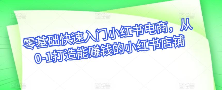 零基础快速入门小红书电商，从0-1打造能赚钱的小红书店铺-创薯资源