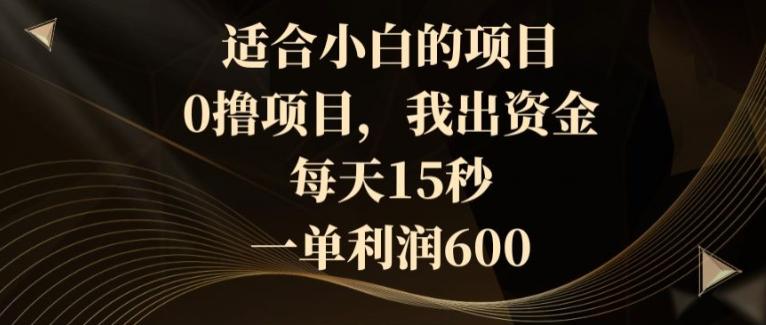 适合小白的项目，0撸项目，我出资金，每天15秒，一单利润600-创薯资源