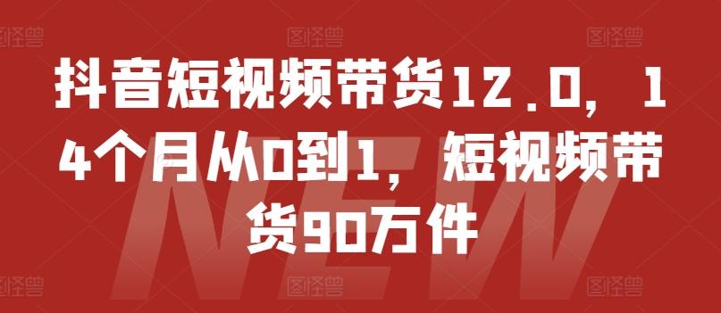 抖音短视频带货12.0，14个月从0到1，短视频带货90万件-创薯资源