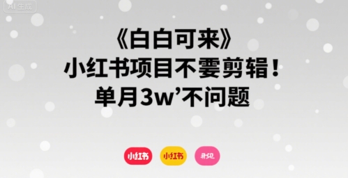 小白可来 小红书项目不需要剪辑 单月3w不是问题-创薯资源