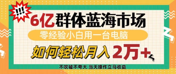 6亿群体蓝海市场，零经验小白用一台电脑，如何轻松月入过w【揭秘】-创薯资源