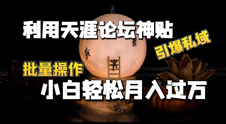 利用天涯论坛神贴，引爆私域，批量操作，小白轻松月入过w【揭秘】-创薯资源