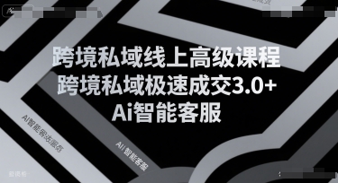 跨境私域线上高级课程，跨境私域极速成交3.0+Ai智能客服-创薯资源