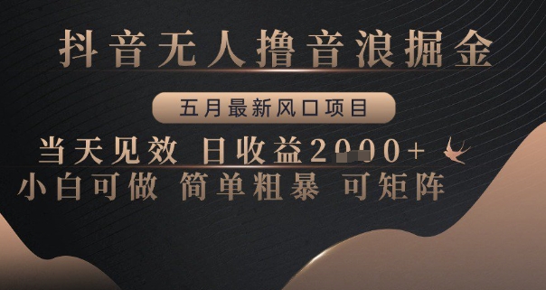 抖音无人撸音浪掘金，五月最新风口项目，当天见效，日收益多张，小白可做简单粗暴可矩阵【揭秘】-创薯资源