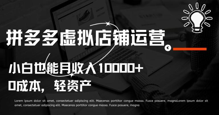 拼多多虚拟店铺运营小白也能月收入10000+【揭秘】-创薯资源