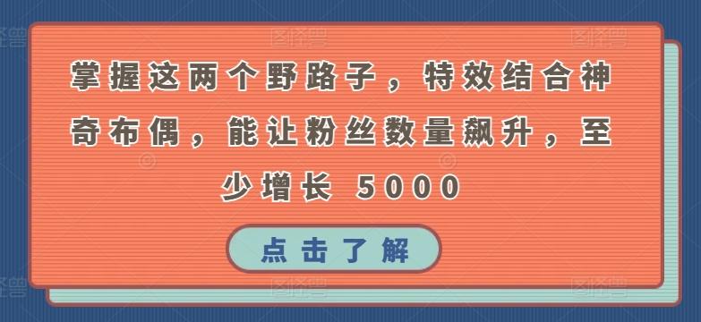 掌握这两个野路子，特效结合神奇布偶，能让粉丝数量飙升，至少增长 5000【揭秘】-创薯资源