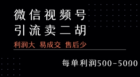 视频号卖二胡教程，利润大 易成交 售后少，一单利润5张+-创薯资源