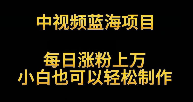 中视频蓝海项目，解读英雄人物生平，每日涨粉上万，小白也可以轻松制作，月入过万不是梦【揭秘】-创薯资源