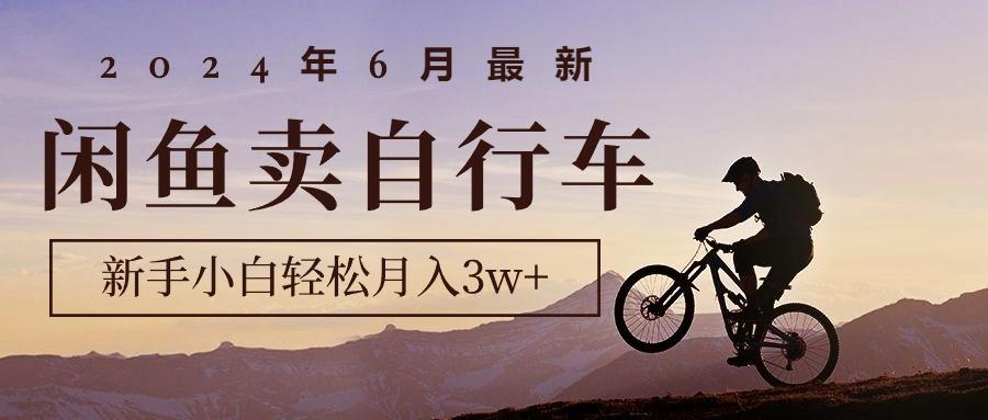 2024年6月最新闲鱼卖自行车，新手小白轻松月入3w+项目-创薯资源