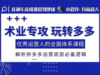 术业专攻玩转多多，优秀运营人的全面体系课程，解析拼多多运营底层必备逻辑-创薯资源