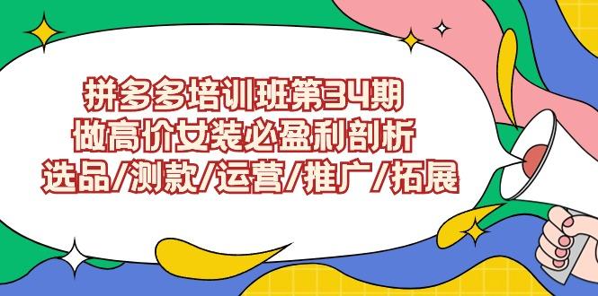 (9333期)拼多多培训班第34期：做高价女装必盈利剖析  选品/测款/运营/推广/拓展-创薯资源
