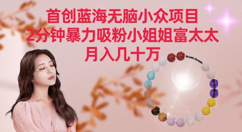 首创蓝海无脑小众项目，2分钟暴力吸粉小姐姐富太太，月入几十万【揭秘】-创薯资源