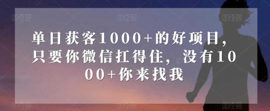 单日获客1000+的好项目，只要你微信扛得住，没有1000+你来找我【揭秘】-创薯资源