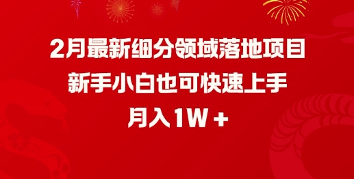 2月最新细分领域落地项目，新手小白也可快速上手，月入1W-创薯资源