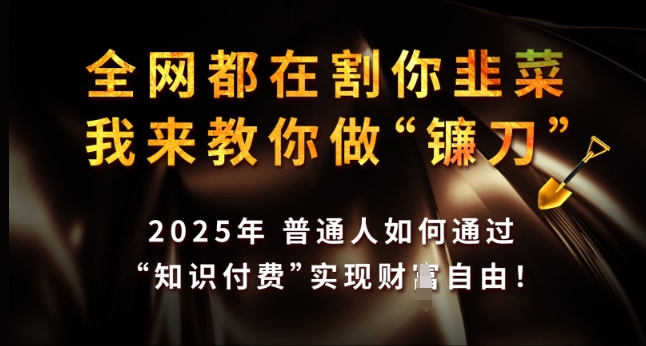 全网都在割你韭菜，我来教你做镰刀，2025年普通人如何通过 知识付费 实现财F自由【揭秘】-创薯资源