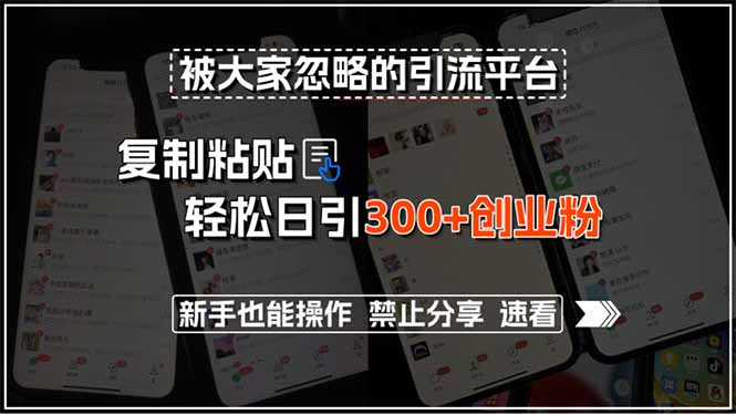 被大家忽略的引流平台，复制粘贴轻松日引300+创业粉，新手也能操作，禁…-创薯资源