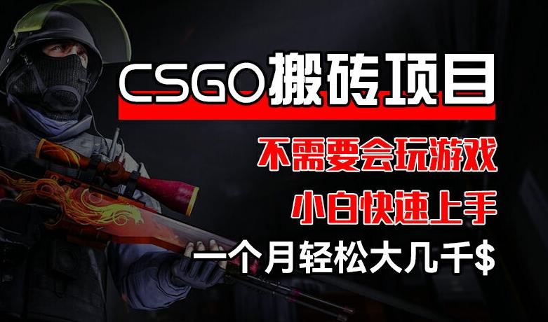 CSGO 装备搬砖项目，操作简单，不需要会玩游戏，小白也能快速上手，一个月轻松大几千【揭秘】-创薯资源