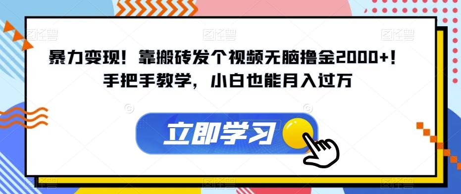 暴力变现！靠搬砖发个视频无脑撸金2000+！手把手教学，小白也能月入过万【揭秘】-创薯资源