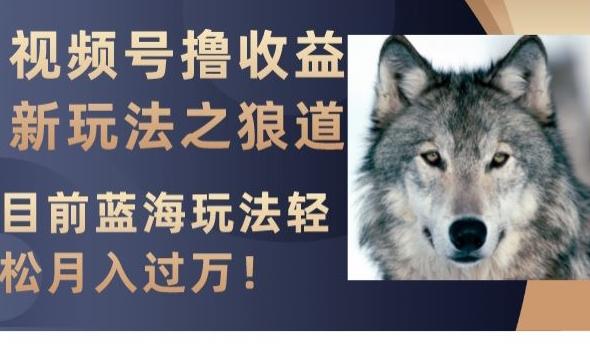 视频号撸收益新玩法之狼道，目前蓝海玩法，轻松月入过万【揭秘】-创薯资源