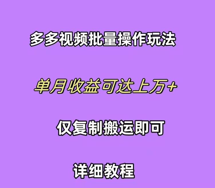 (10029期)拼多多视频带货快速过爆款选品教程 每天轻轻松松赚取三位数佣金 小白必…-创薯资源