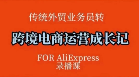 跨境电商速卖通运营课，​运营方法论+后台实操，逻辑清晰-创薯资源