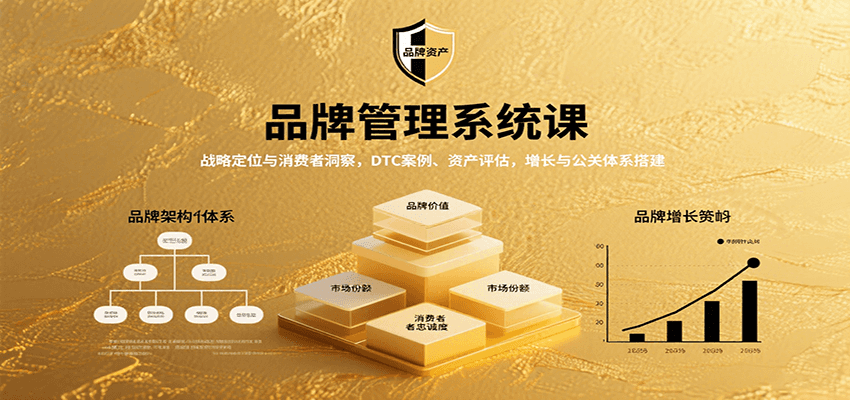 品牌管理系统课：战略定位与消费者洞察，DTC案例、资产评估，增长与公关体系搭建-创薯资源