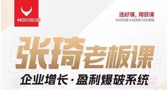 【组合课】张琦张琦老板企业增长·盈利爆破系统（直播专享）-创薯资源