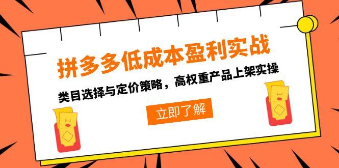 拼多多低成本盈利实战，类目选择与定价策略，高权重产品上架实操-创薯资源