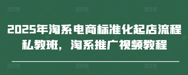 2025年淘系电商标准化起店流程私教班，淘系推广视频教程-创薯资源