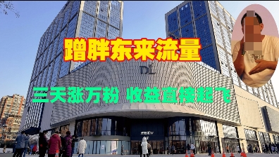 蹭胖东来流量，三天涨万粉，收益直接起飞-创薯资源