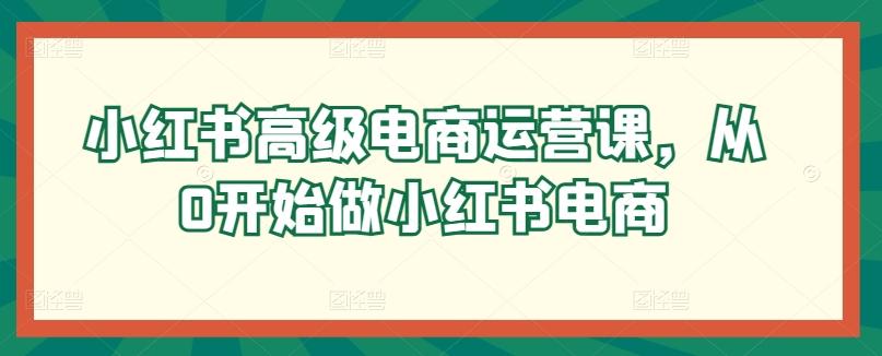 小红书高级电商运营课，从0开始做小红书电商-创薯资源
