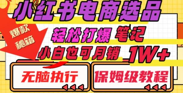 小红书电商爆款选品秘籍，帮你轻松打爆笔记，小白也可轻松月销10000+-创薯资源