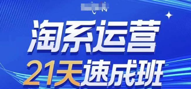 淘系运营21天速成班(更新24年6月)，0基础轻松搞定淘系运营，不做假把式-创薯资源