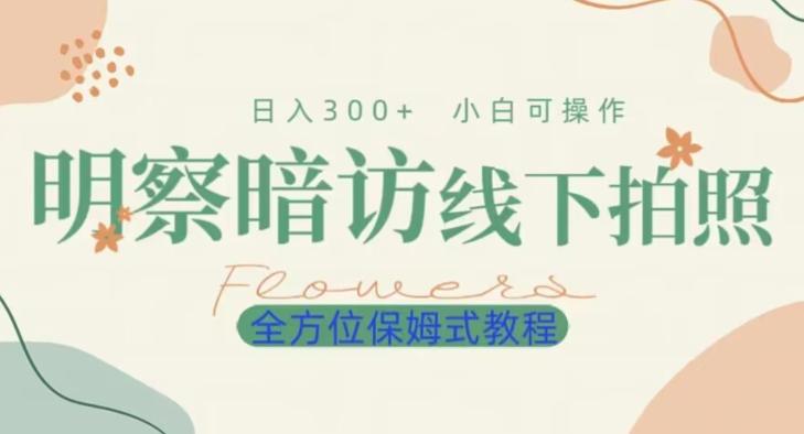 明拍暗拍项目0成本投入日入300+小白可操作保姆式全方位教程-创薯资源