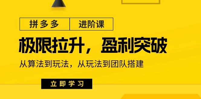 拼多多·进阶课：极限拉升/盈利突破：从算法到玩法 从玩法到团队搭建-18节-创薯资源