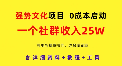 强势文化项目，一个社群收入25个W，0成本启动，可矩阵批量操作，原创详细实操教程-创薯资源