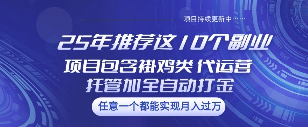 25年推荐这10个副业项目包含褂鸡类、代运营托管类、全自动打金类【揭秘】-创薯资源