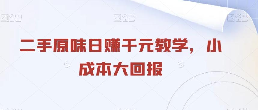 二手原味日赚千元教学，小成本大回报-创薯资源